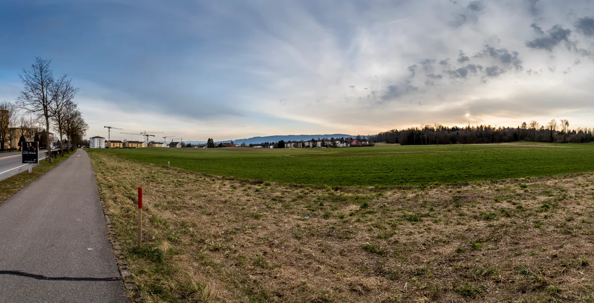 Die Baukrane sollen auch in naher Zukunft von der Reservezone Eschenbüel ferngehalten werden. Eine Wiese neben einer Strasse.
